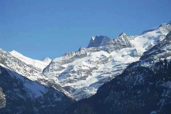 2-star Griwarent * גרינדלוולד